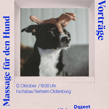 Praxisabend: Massage für den Hund (12. Oktober)