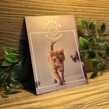 Postkarte Feivel (ganz)