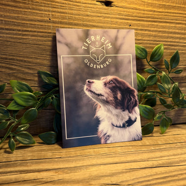 Postkarte Hund Alice