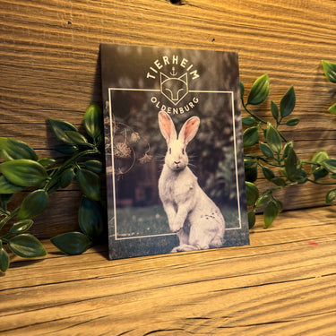 Postkarte Kaninchen Bodo