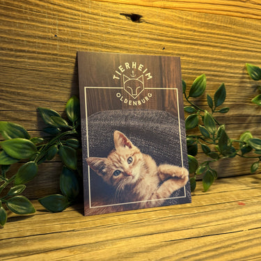 Postkarte Katze Feivel