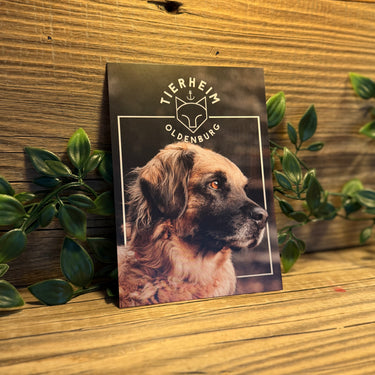 Postkarte Hund Bloh
