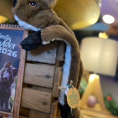 Hundespielzeug Recycelbiber