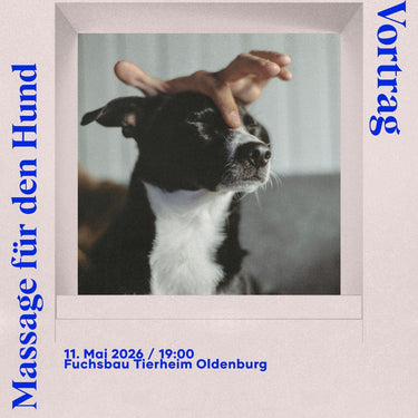 Praxisabend: Massage für den Hund (11. Mai)