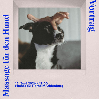 Praxisabend: Massage für den Hund (15. Juni)
