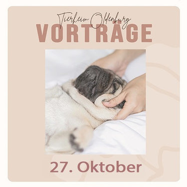 Praxisabend: Massage für den Hund (mit eigenem Hund)